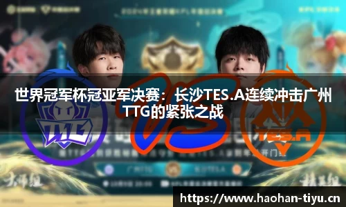 世界冠军杯冠亚军决赛：长沙TES.A连续冲击广州TTG的紧张之战